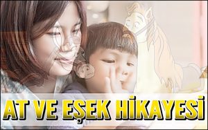 At ve Eşek Hikayesi