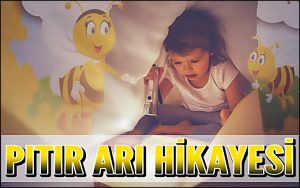 Pıtır Arı Hikayesi