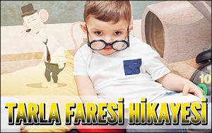 Tarla Faresi Hikayesi