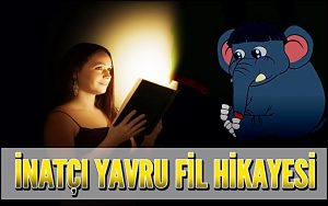 İnatçı Yavru Fil Hikayesi