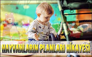 Hayvanların Planları Hikayesi