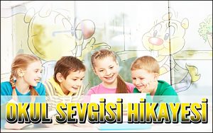 Okul Sevgisi Hikayesi