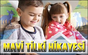 Mavi Tilki Hikayesi