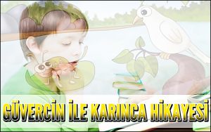 Güvercin İle Karınca Hikayesi