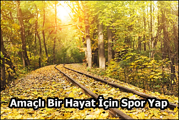 Amaçlı Bir Hayat İçin Spor Yap
