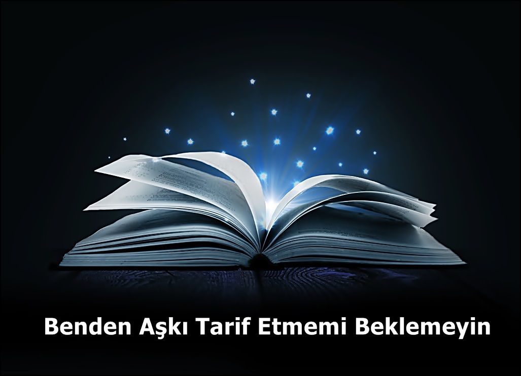 Benden Aşkı Tarif Etmemi Beklemeyin