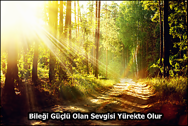 Bileği Güçlü Olan Sevgisi Yürekte Olur