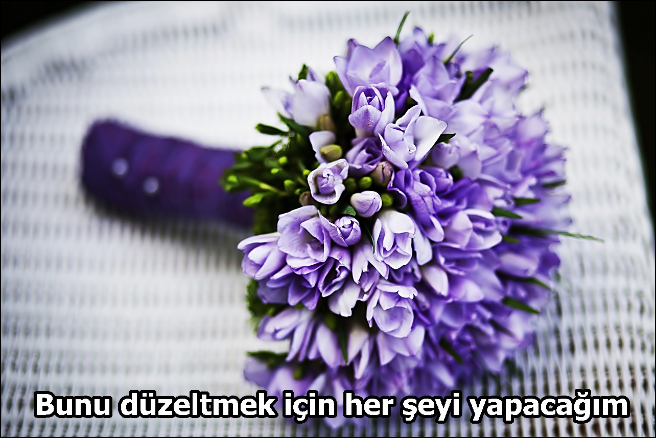 Bunu düzeltmek için her şeyi yapacağım