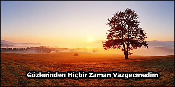 Gözlerinden Hiçbir Zaman Vazgeçmedim