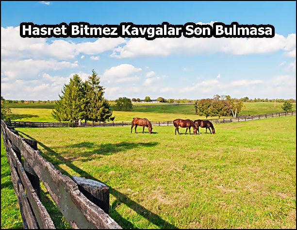 Hasret Bitmez Kavgalar Son Bulmasa