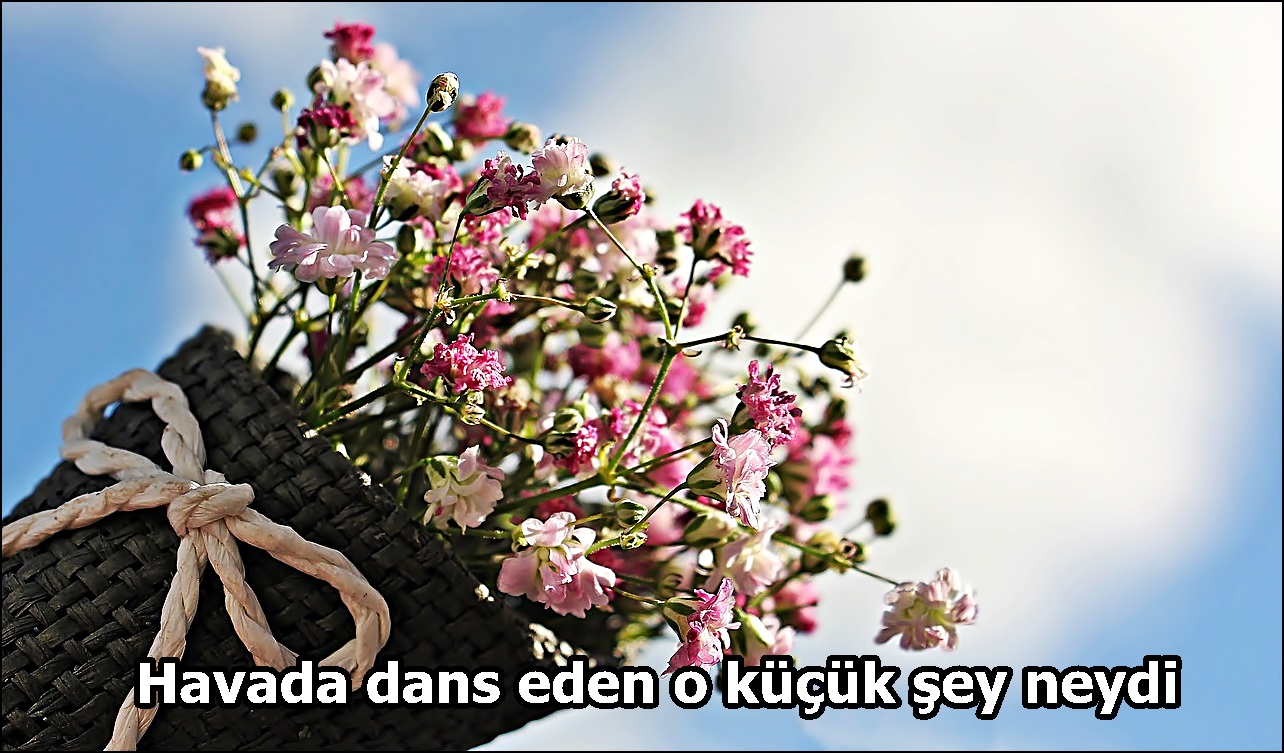 Havada dans eden o küçük şey neydi