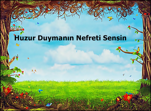 Huzur Duymanın Nefreti Sensin