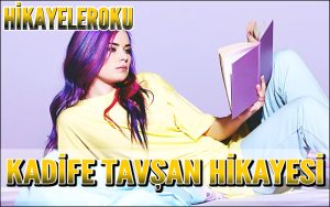 Kadife Tavşan Hikayesi
