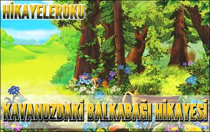 Kavanozdaki Balkabağı Hikayesi