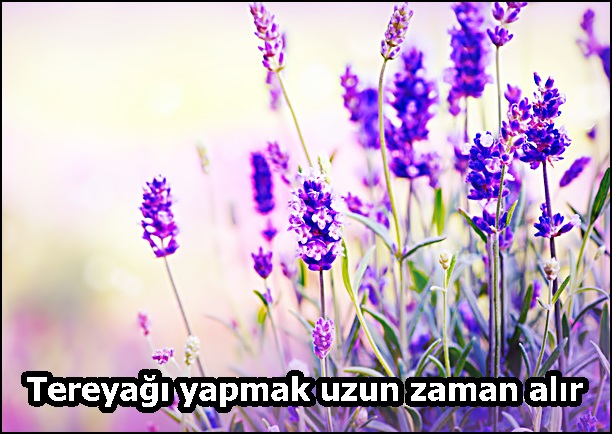 Tereyağı yapmak uzun zaman alır