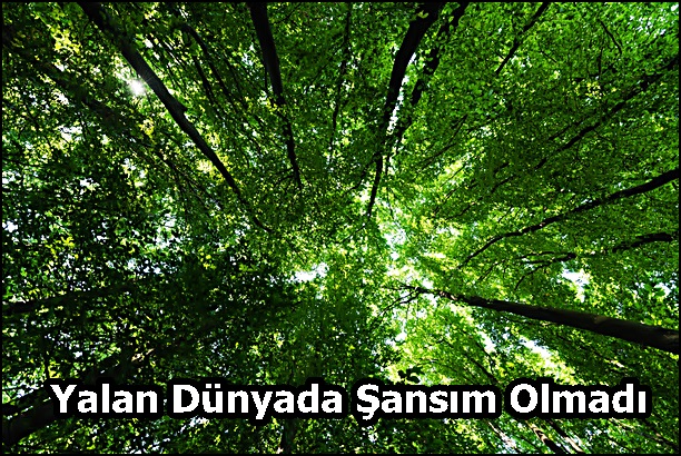 Yalan Dünyada Şansım Olmadı
