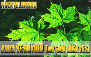 Arıcı Ve Büyülü Tavşan Hikayesi