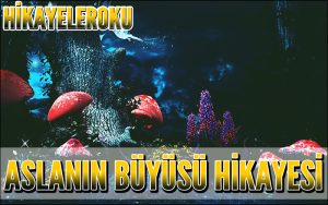 Aslanın Büyüsü Hikayesi