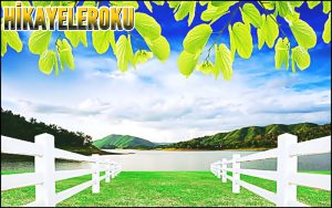 Bir İzlanda Macerası Hikaye Oku