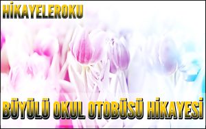 Büyülü Okul Otobüsü Hikayesi
