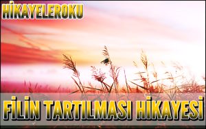 Filin Tartılması Hikayesi