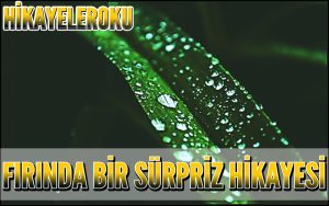 Fırında Bir Sürpriz Hikayesi