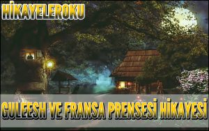 Guleesh ve Fransa Prensesi Hikayesi