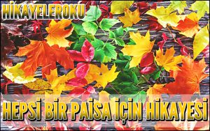 Hepsi Bir Paisa İçin Hikayesi