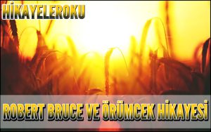 Robert Bruce ve Örümcek Hikayesi