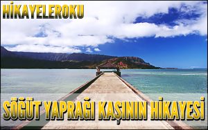 Söğüt Yaprağı Kaşının Hikayesi
