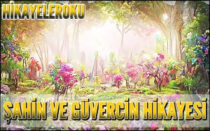 Şahin ve Güvercin Hikayesi