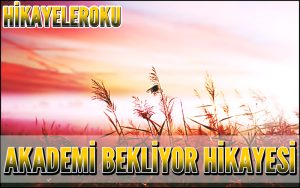 Akademi Bekliyor Hikayesi
