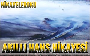 Akıllı Hans Hikayesi