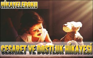 Cesaret ve Dostluk Hikayesi
