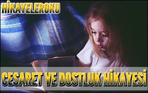 Görünmez Dedektif Hikayesi