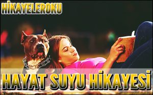 Hayat Suyu Hikayesi