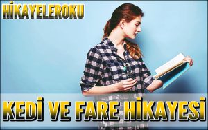 Kedi ve Fare Hikayesi