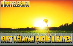 Kurt Ağlayan Çocuk Hikayesi
