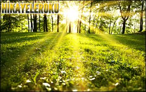 Maplewood Okulunda Arkadaş Edinmek Hikaye Oku