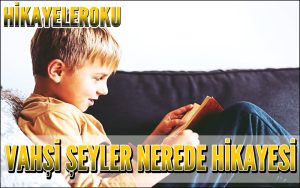 Vahşi Şeyler Nerede Hikayesi