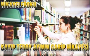 Kayıp Teddy Ayının Garip Hikayesi