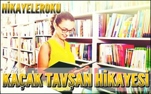 Kaçak Tavşan Hikayesi