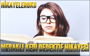 Meraklı Kedi Dedektif Hikayesi