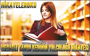 Meraklı Yavru Kedinin Büyülü Yolculuğu Hikayesi