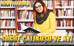 Söğüt Çalıkuşu ve Ayı Hikayesi