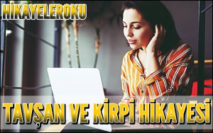 Tavşan ve Kirpi Hikayesi