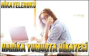 Harika Yumurta Hikayesi