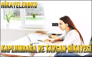 Kaplumbağa ve Tavşan Hikayesi