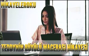 Teddynin Büyülü Macerası Hikayesi