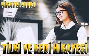 Tilki ve Kedi Hikayesi